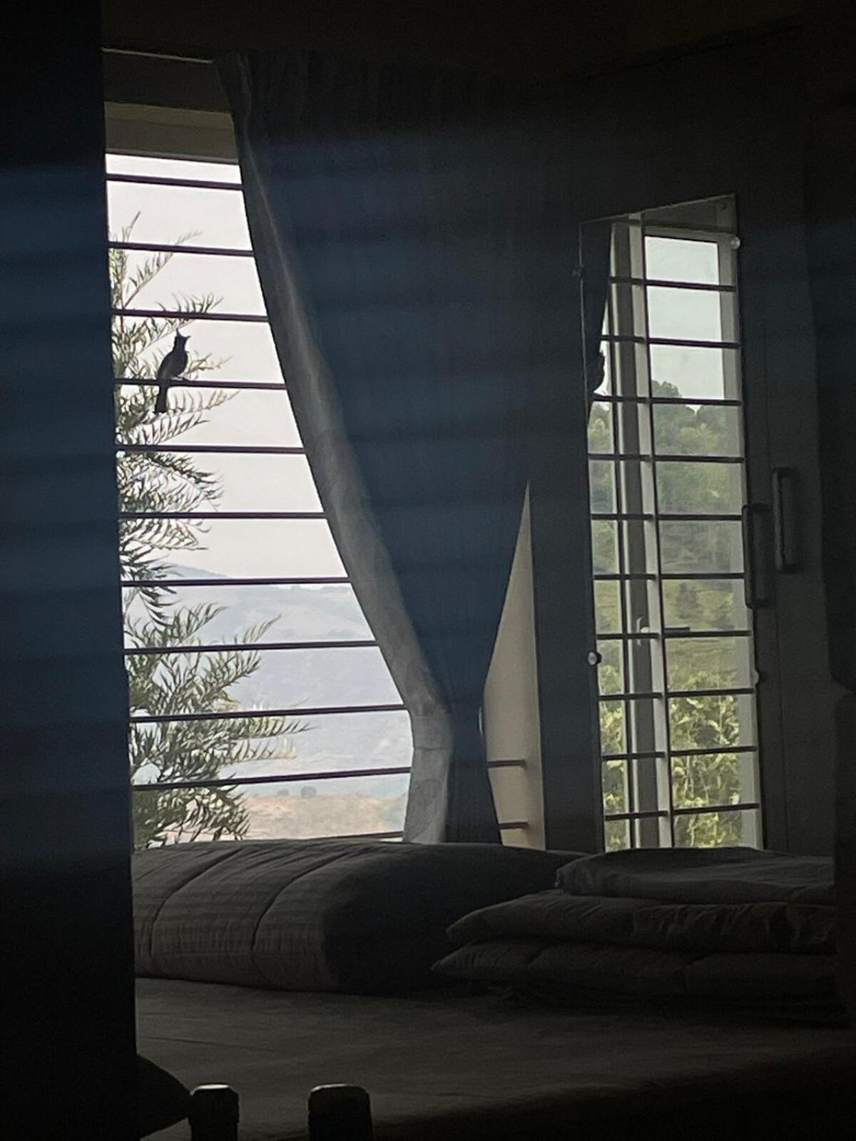 Casa De Kcn Βίλα Kotagiri Εξωτερικό φωτογραφία