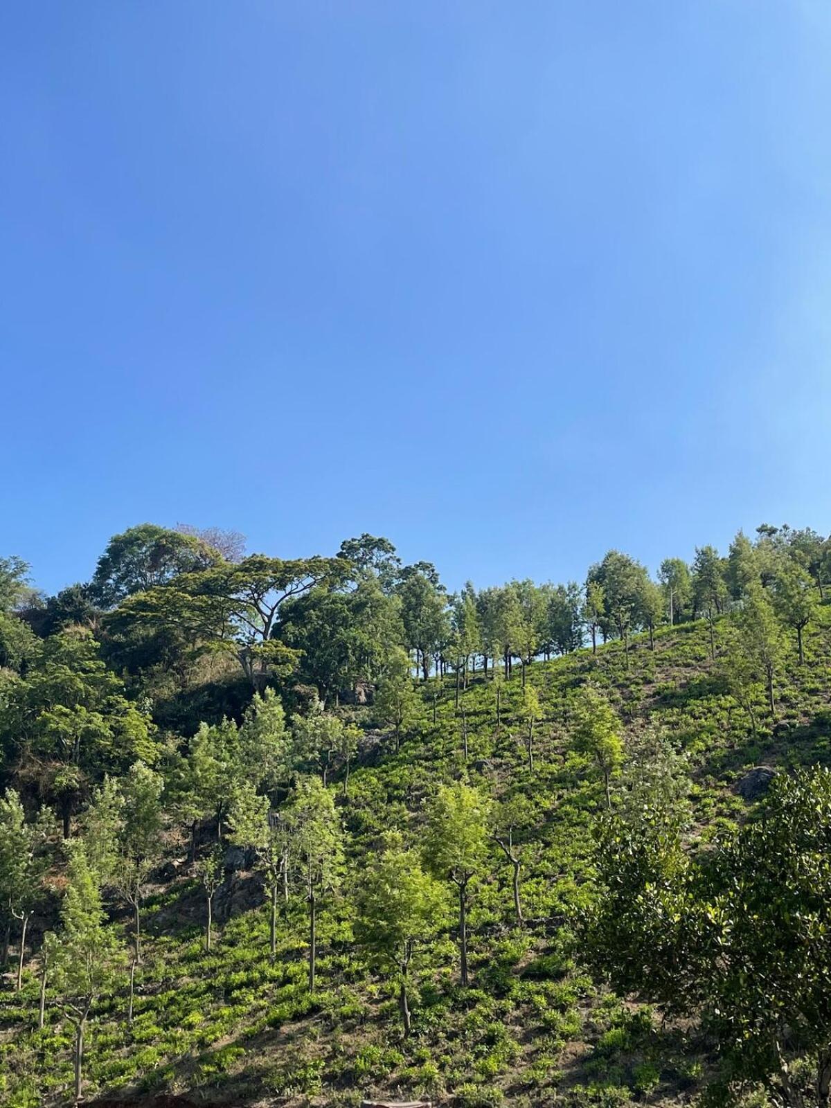 Casa De Kcn Βίλα Kotagiri Εξωτερικό φωτογραφία